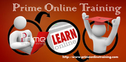 DAC Online training